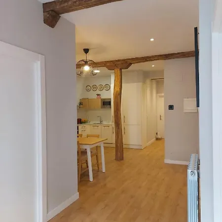En Con Zonas Comunes Compartida H1 Accommodatie bij particulieren Bilbao